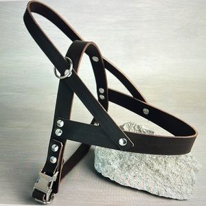 Dog Harness in Papaya Leather Adjustable Harness New Never Used xxs Italy